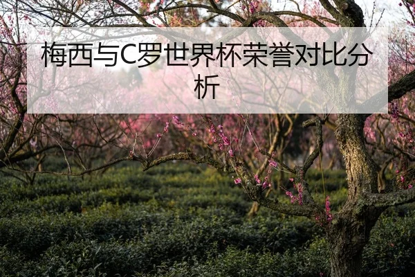 梅西与C罗世界杯荣誉对比分析